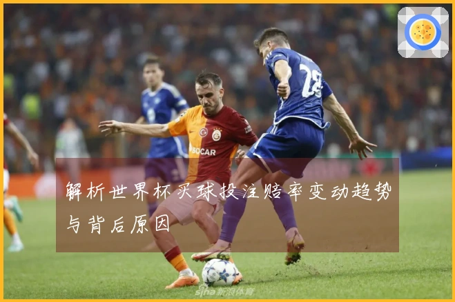 解析世界杯买球投注赔率变动趋势与背后原因