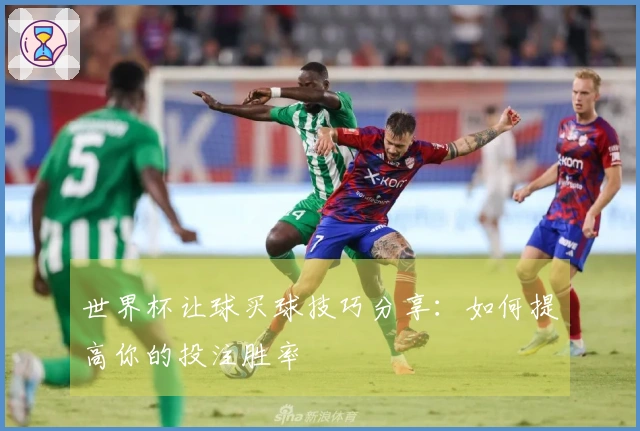 世界杯让球买球技巧分享：如何提高你的投注胜率
