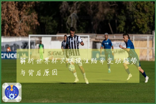解析世界杯买球投注赔率变动趋势与背后原因